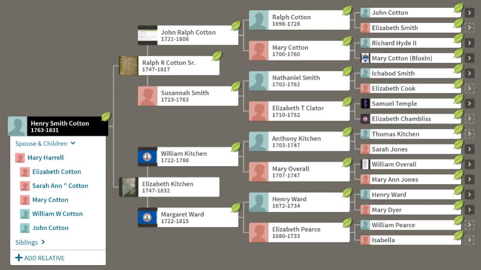 tree.jpg