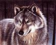 running_wulf